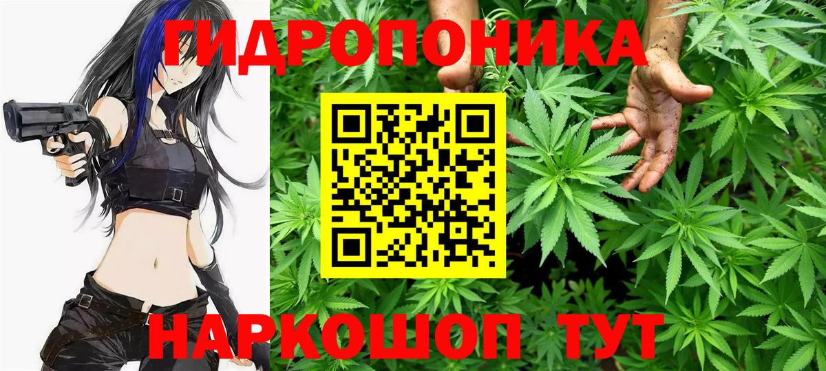 Шишки марихуана планчик  Конопля White Widow  Вход с VPN  Шишки марихуана семена  Краснокаменск  Конопля сатива 